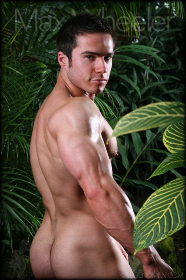 Max-Wheeler-Legend-Men-Gay-Porn-Stars-Muscle-Men-naked-bodybuilder-nude-bodybuilders-big-muscle-huge-cock-04-gallery-video-photo